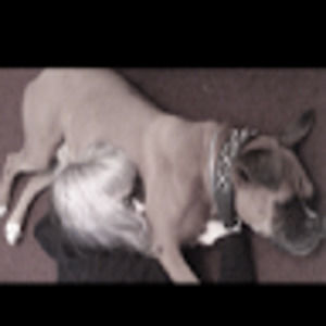 Meet your Posher, Margie